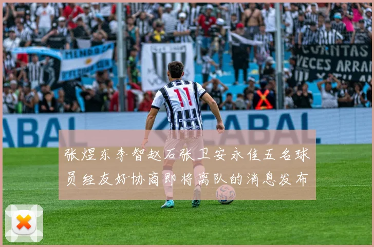 张煜东李智赵石张卫安永佳五名球员经友好协商即将离队的消息发布