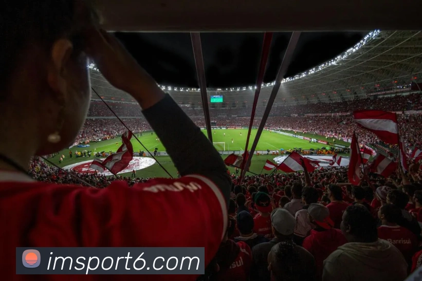 IM体育发展历程